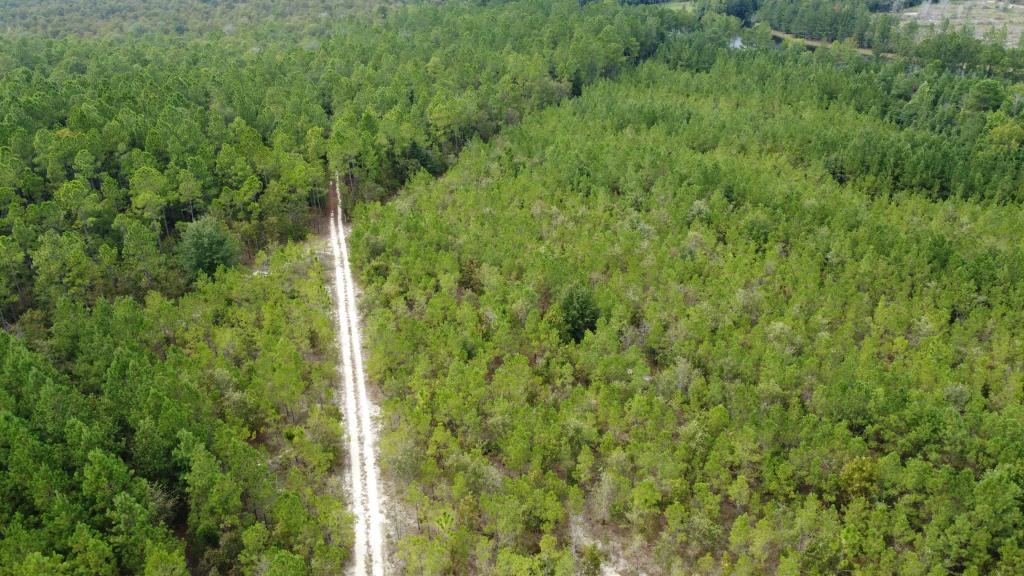 Settlement Road Pines – Tract A Photo