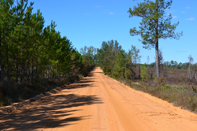 Rock Springs Road Photo