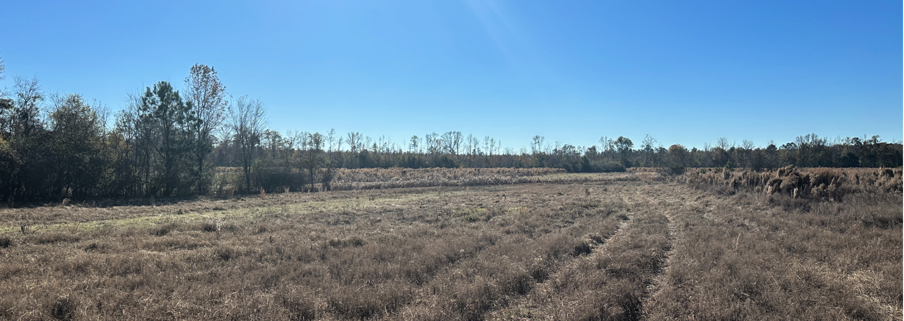 Buck Creek Homeplace Main Photo