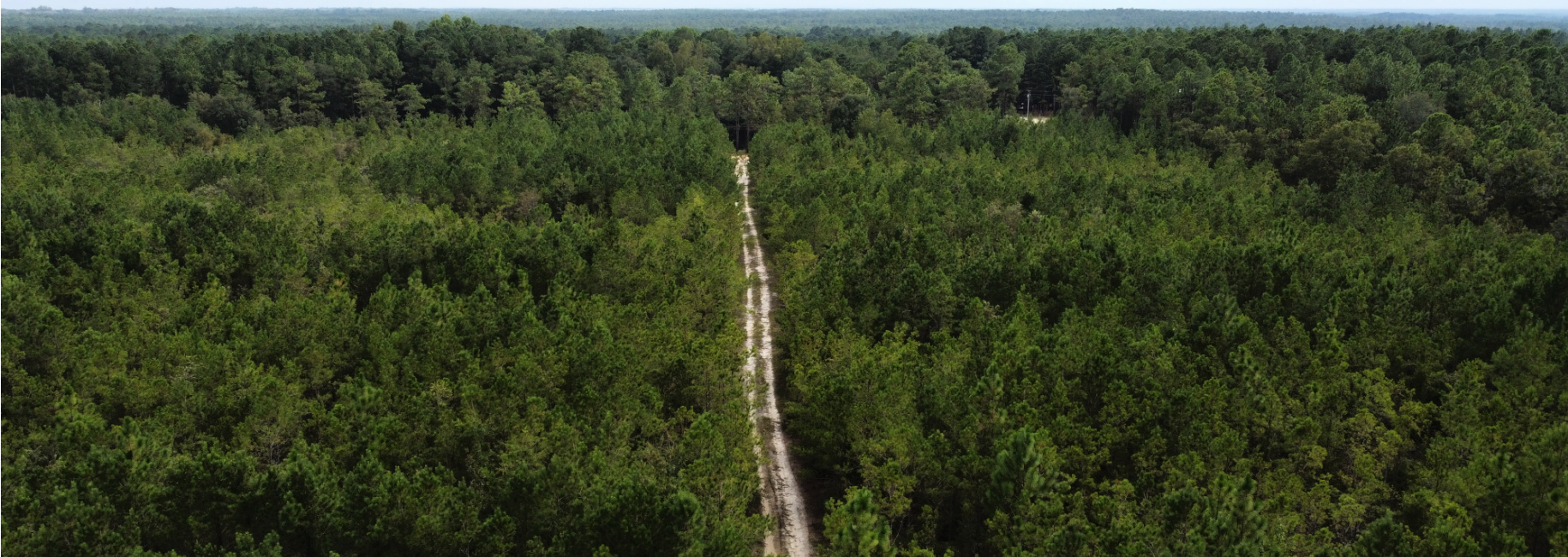 Settlement Road Pines – Tract A Main Photo