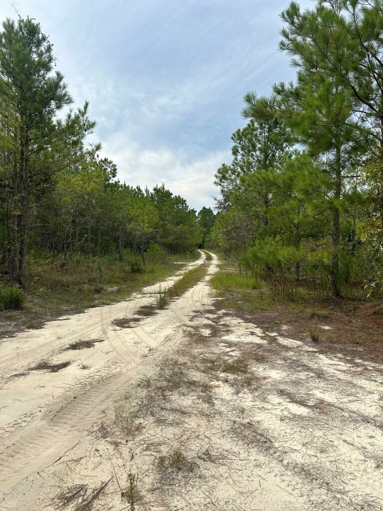 Settlement Road Pines – Tract A Photo