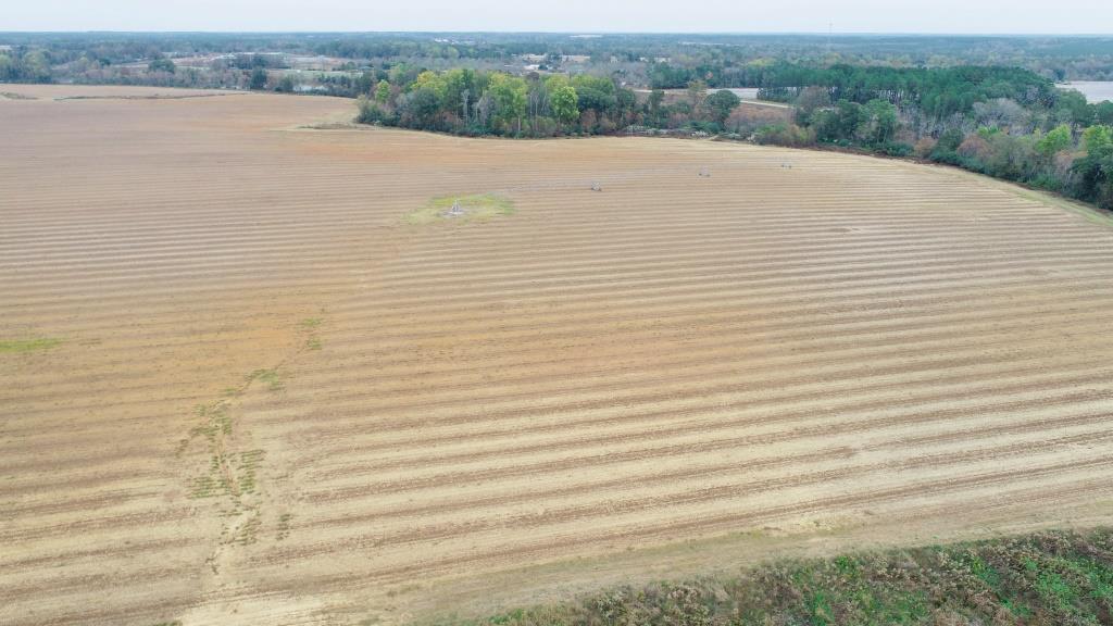 Vidalia Valley Farm Photo