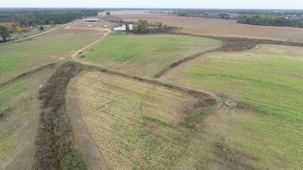 Vidalia Valley Farm Photo