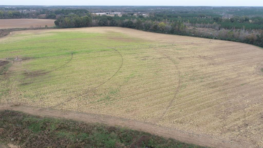 Vidalia Valley Farm Photo