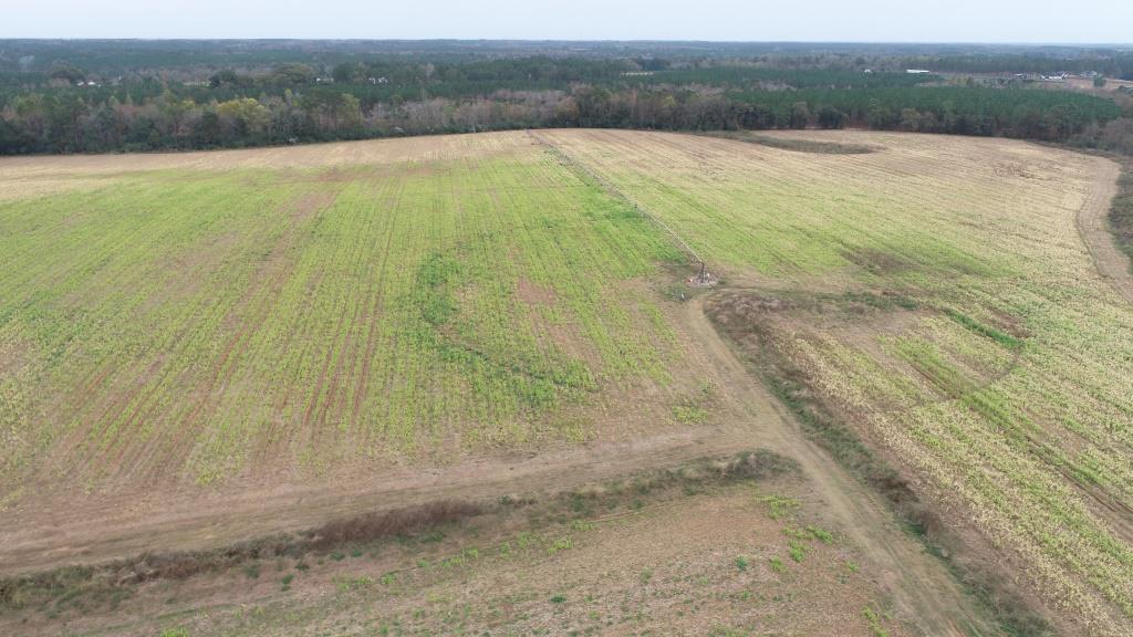 Vidalia Valley Farm Photo