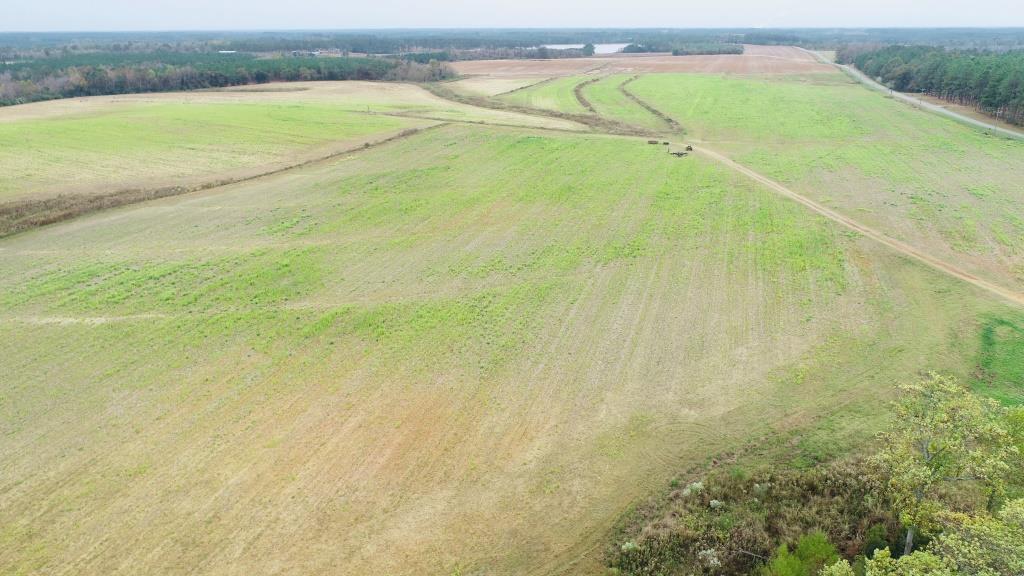 Vidalia Valley Farm Photo