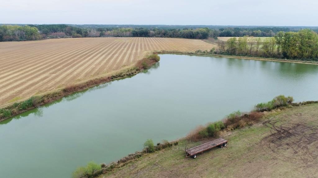 Vidalia Valley Farm Photo