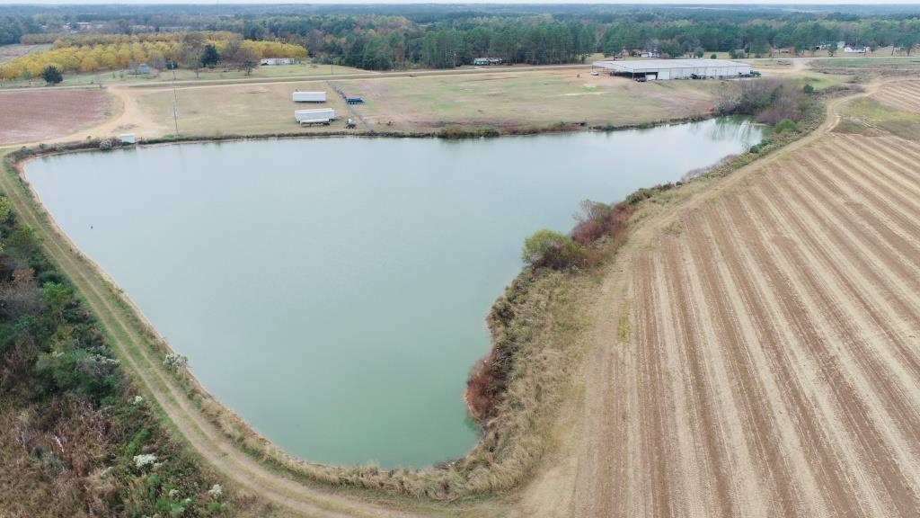 Vidalia Valley Farm Photo