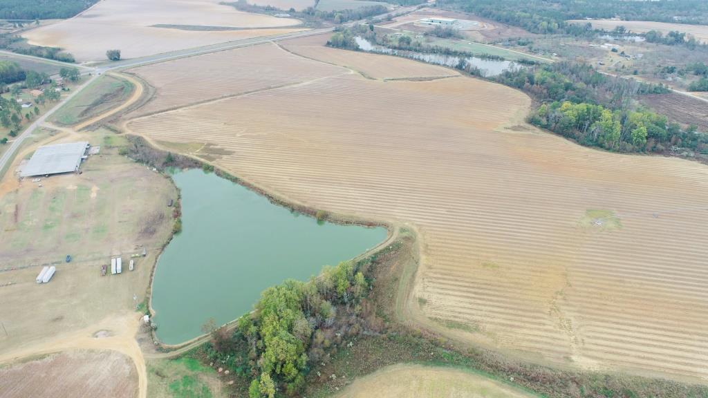 Vidalia Valley Farm Photo