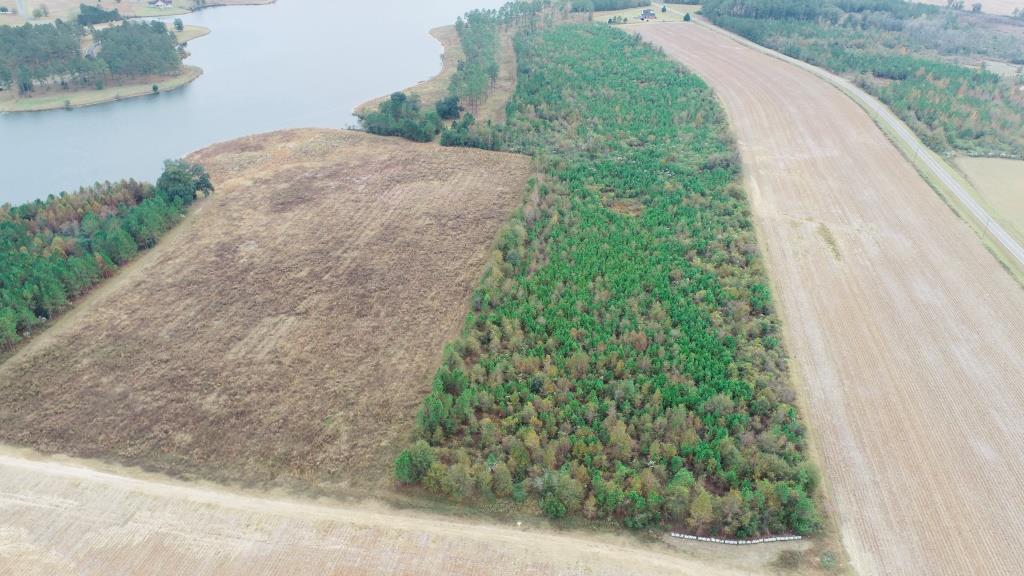 Vidalia Valley Farm Photo