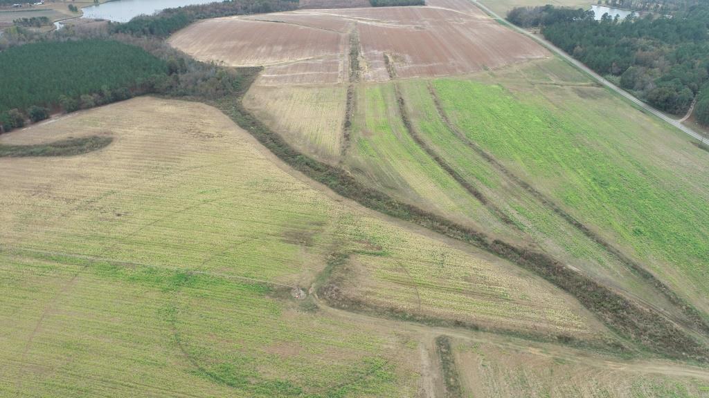 Vidalia Valley Farm Photo