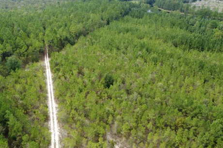 Settlement Road Pines – Tract A