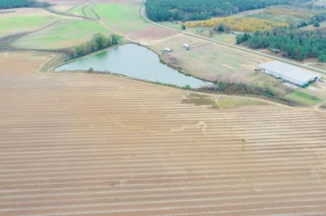 Vidalia Valley Farm