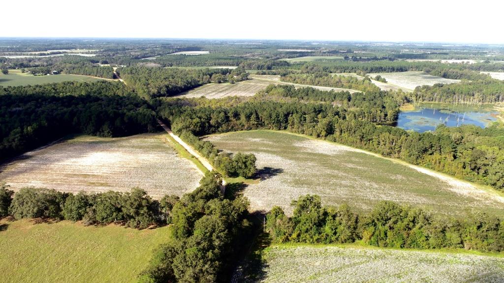 Tillman Pond Farm Photo