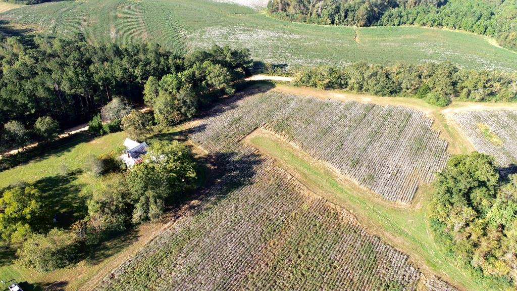 Tillman Pond Farm Photo