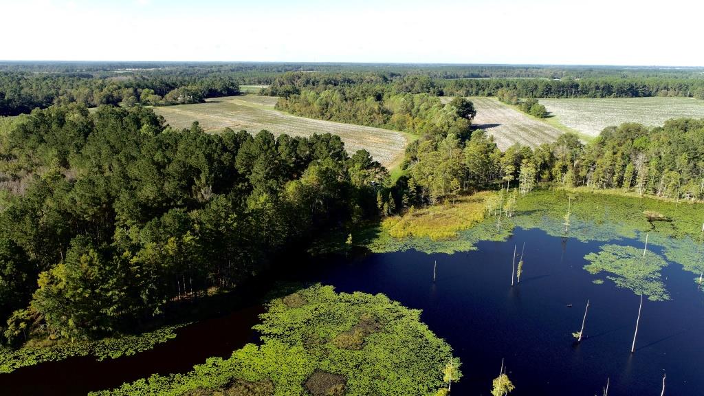 Tillman Pond Farm Photo