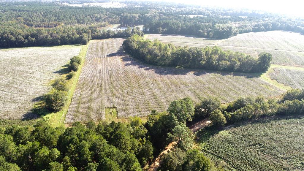 Tillman Pond Farm Photo