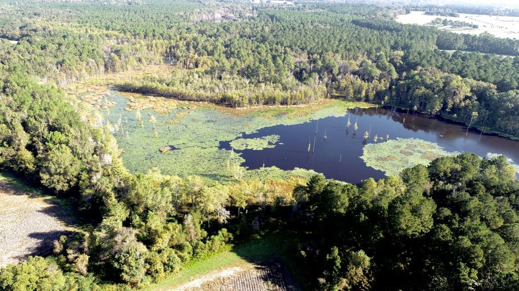 Tillman Pond Farm Photo