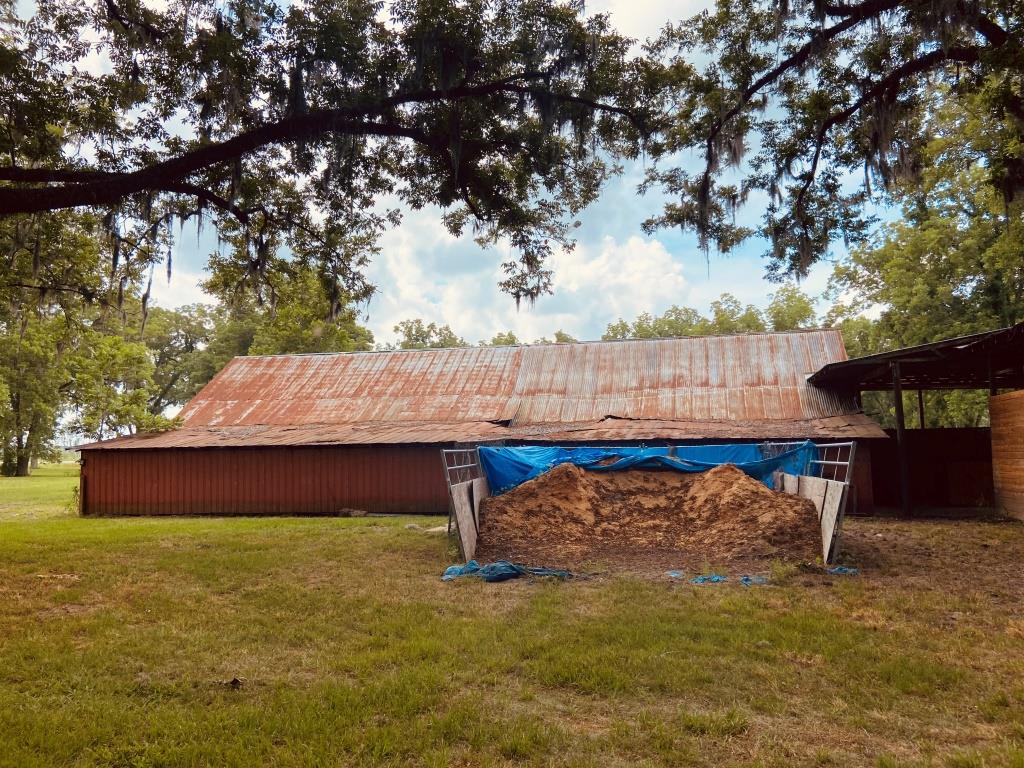 Gibbs Street Mini Farm Photo