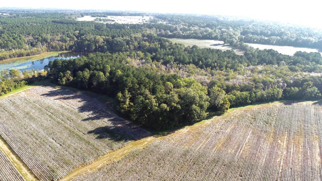 Tillman Pond Farm Photo