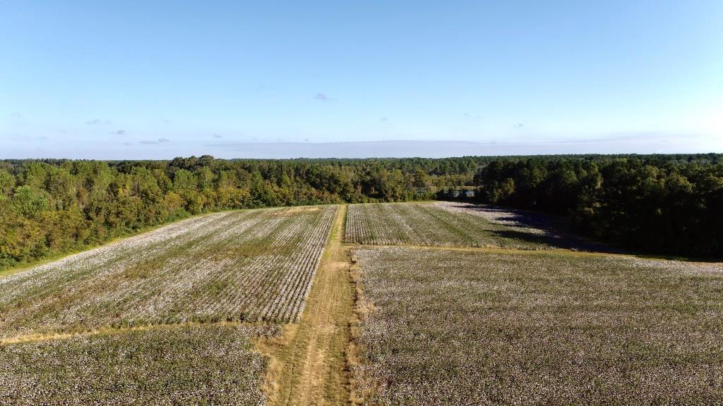 Tillman Pond Farm Photo