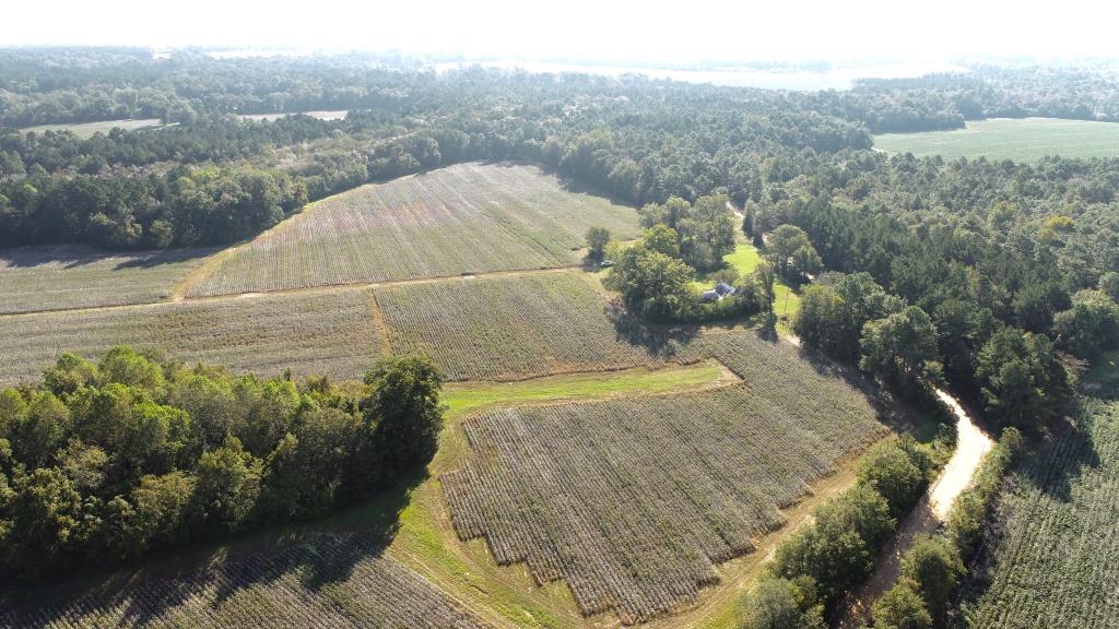 Tillman Pond Farm Photo