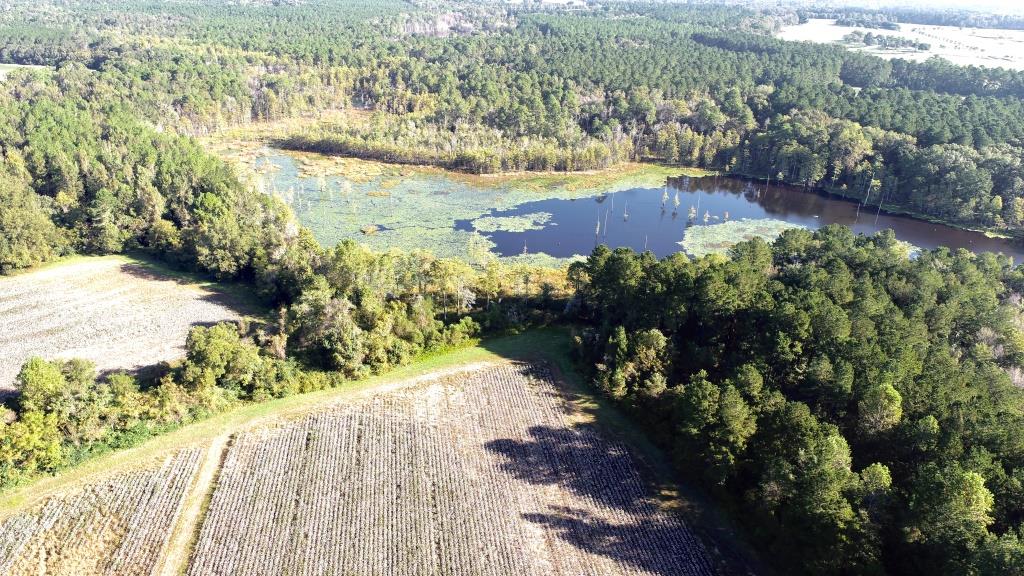 Tillman Pond Farm Photo