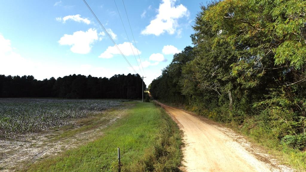 Tillman Pond Farm Photo