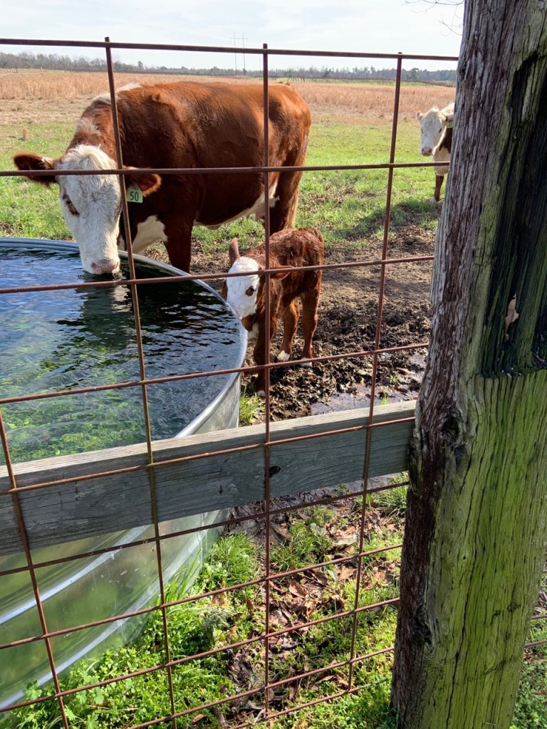 Family Retreat & Farm Photo