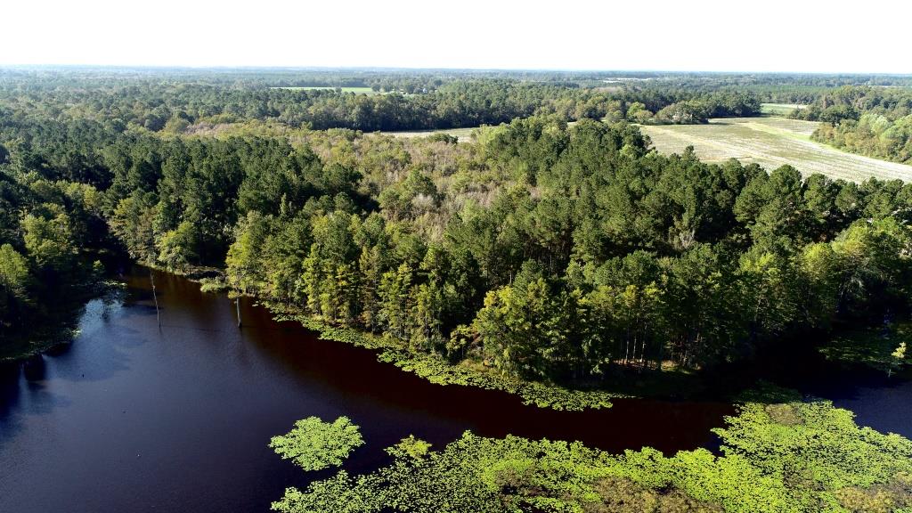 Tillman Pond Farm Photo