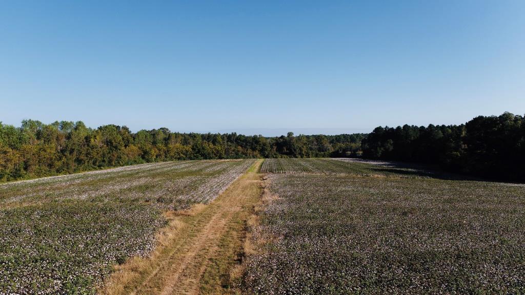 Tillman Pond Farm Photo