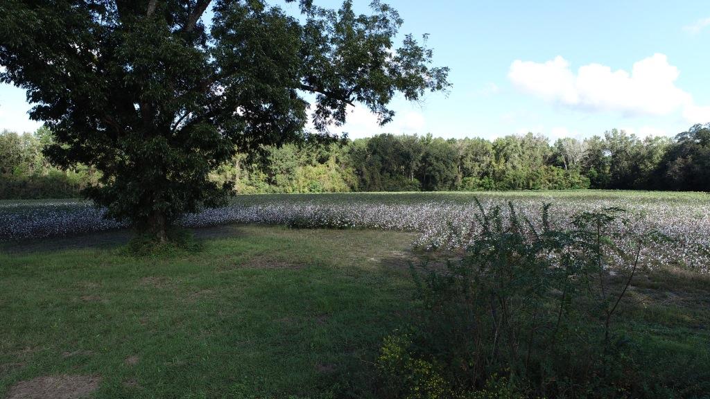 Tillman Pond Farm Photo