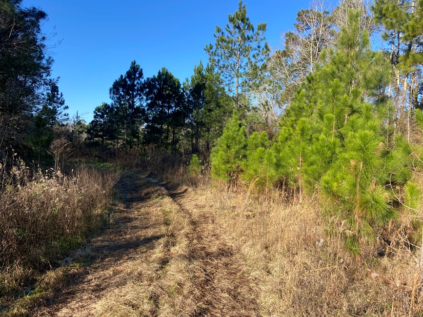 Simons Road Homeplace Photo