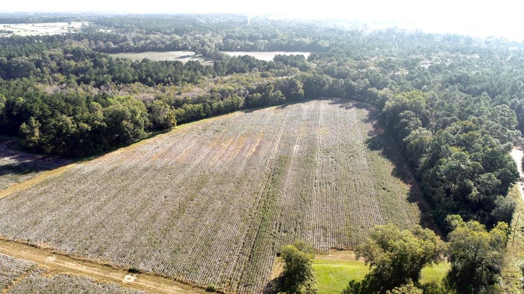 Tillman Pond Farm Photo