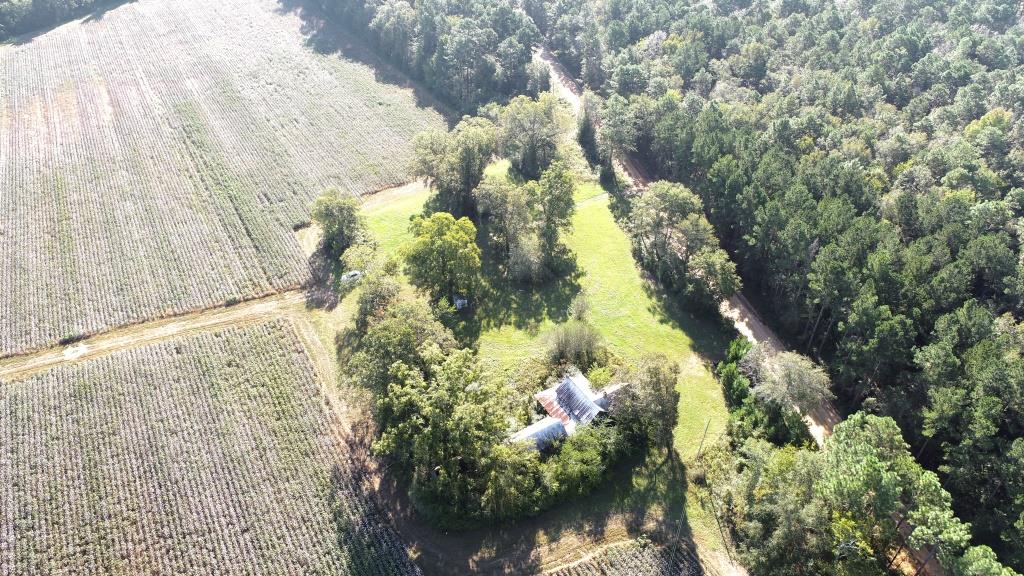 Tillman Pond Farm Photo