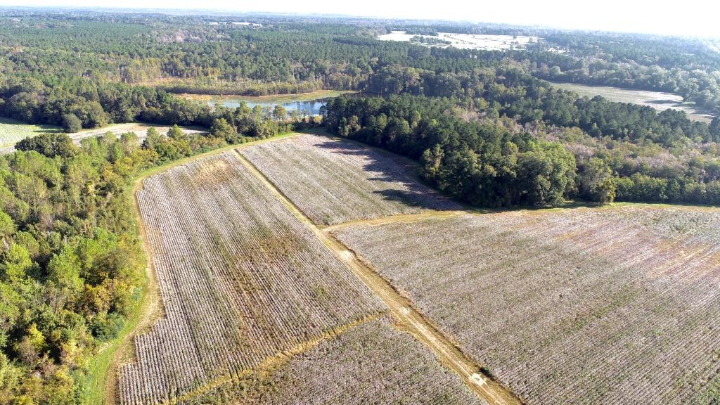 Tillman Pond Farm Photo