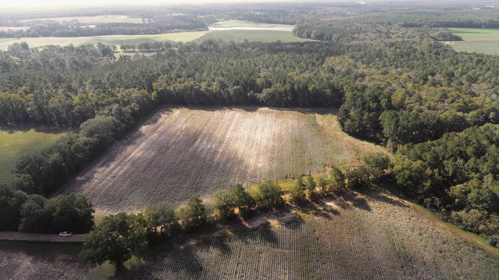 Tillman Pond Farm Photo