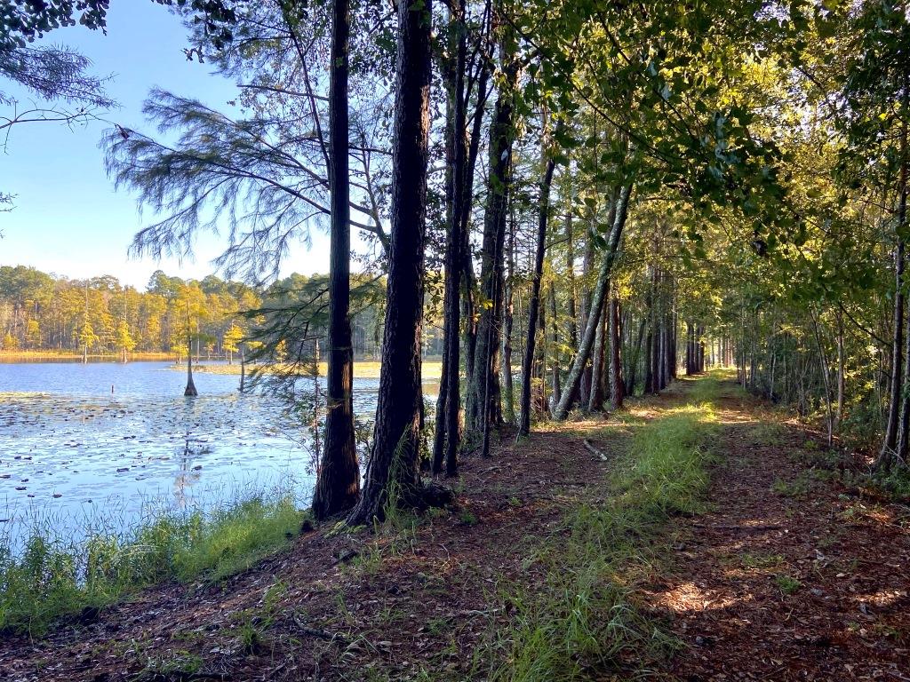 Tillman Pond Farm Photo