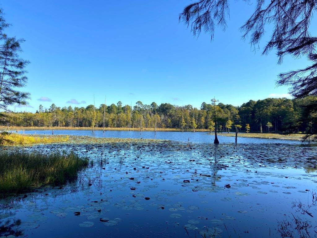 Tillman Pond Farm Photo