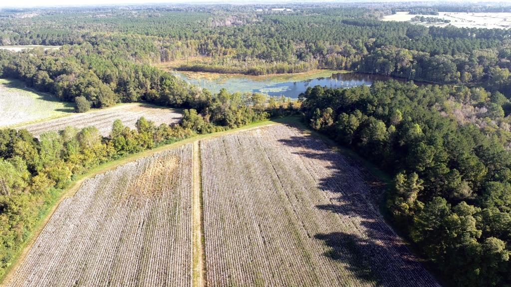 Tillman Pond Farm Photo