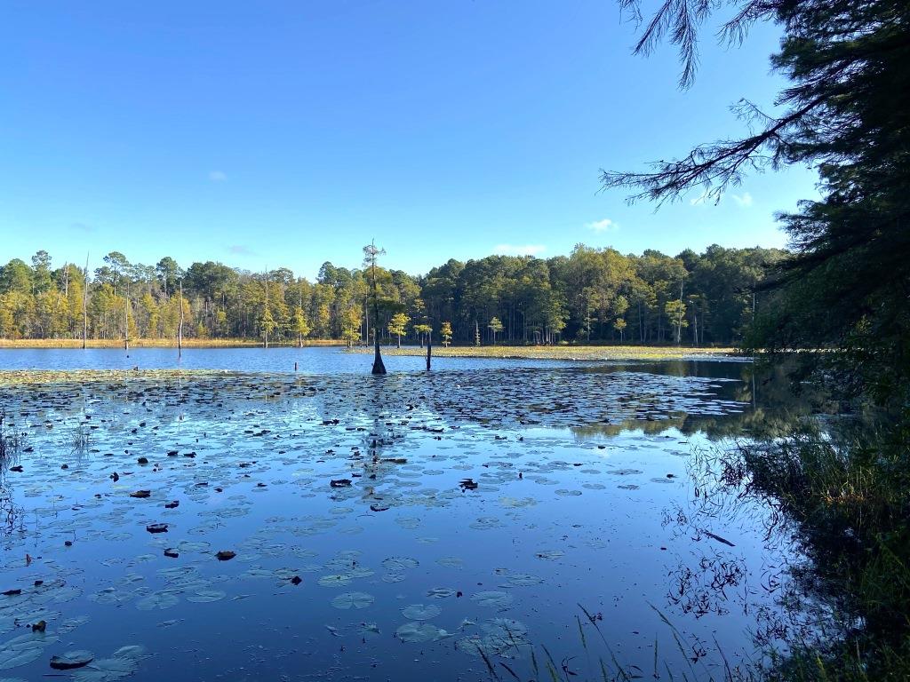 Tillman Pond Farm Photo