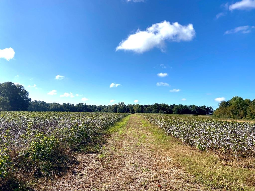 Tillman Pond Farm Photo