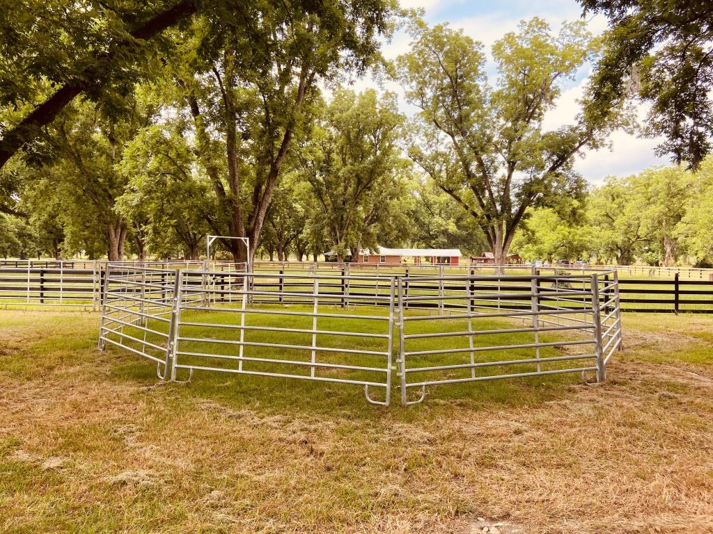 Gibbs Street Mini Farm Photo