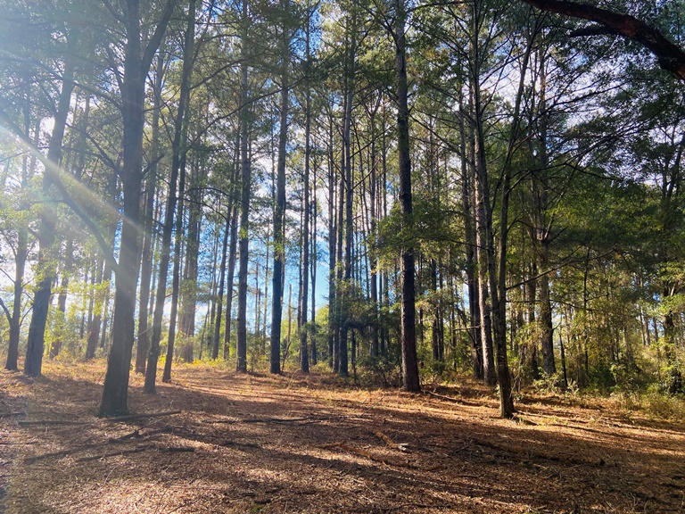 Memphis Road Tract Photo