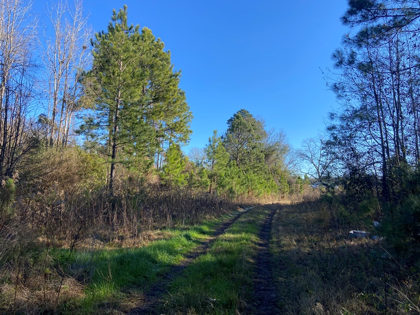 Simons Road Homeplace Photo