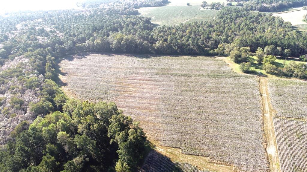 Tillman Pond Farm Photo