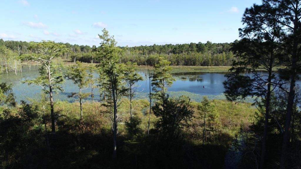 Tillman Pond Farm Photo