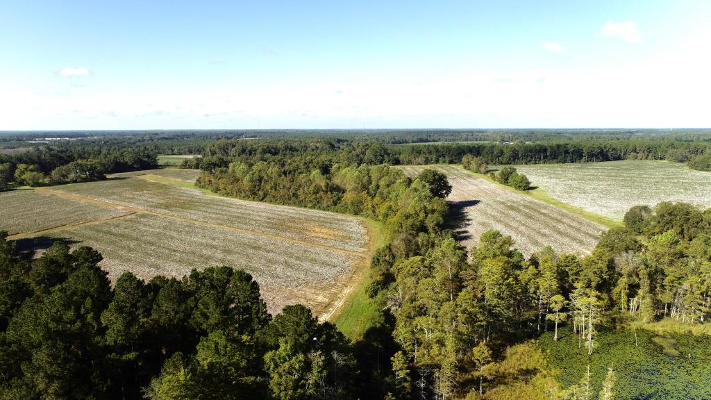 Tillman Pond Farm Photo