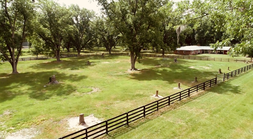 Gibbs Street Mini Farm Photo