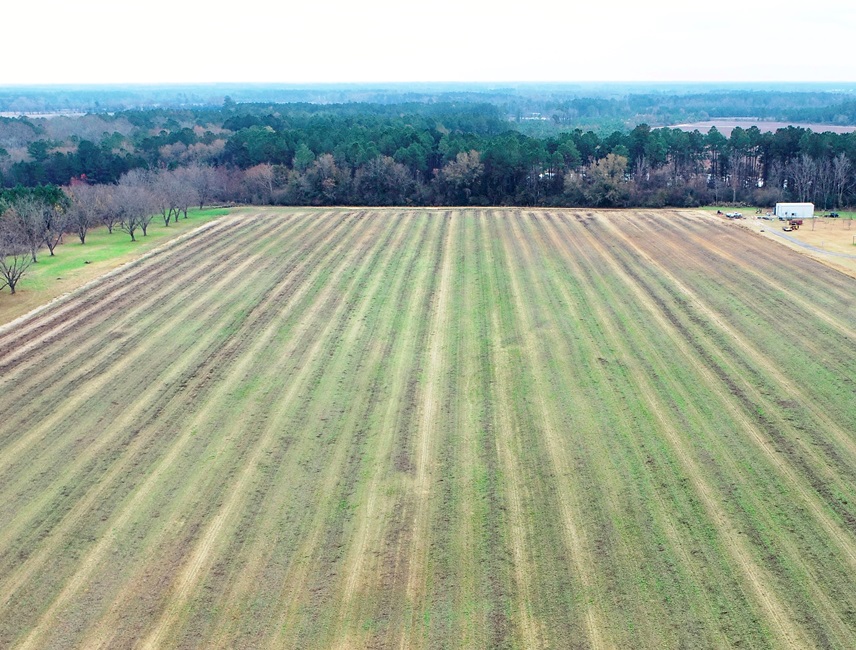 Burkhalter Road Photo